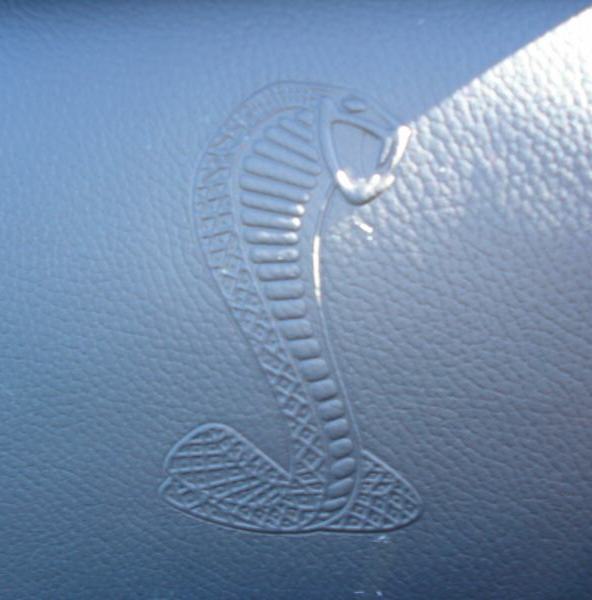 Cobra Seats