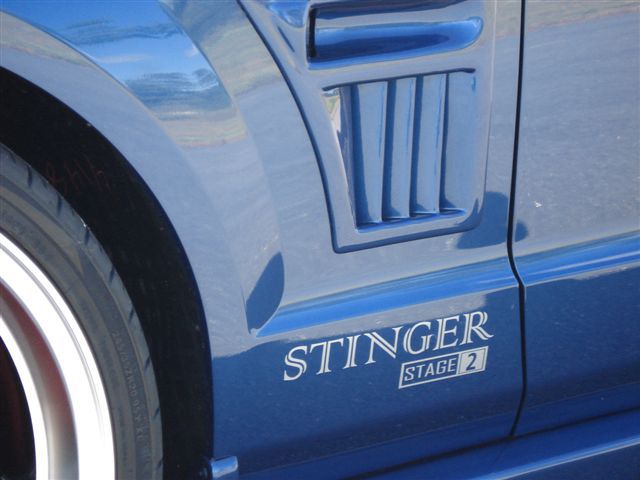Stinger Side Heat Extractors