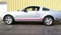 Silver 2008 Mustang Warriors In Pink Sally V6 Coupe