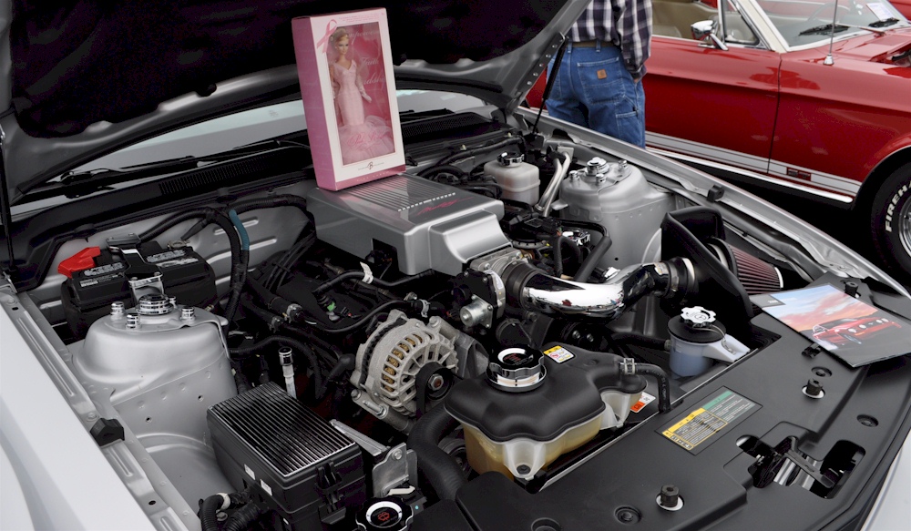 2008 Warriors In Pink Engine