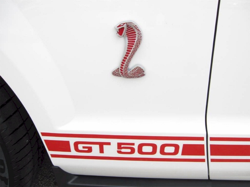 Fender Red Snake Emblem