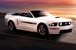 Performance White 2009 Mustang GTCS Convertible