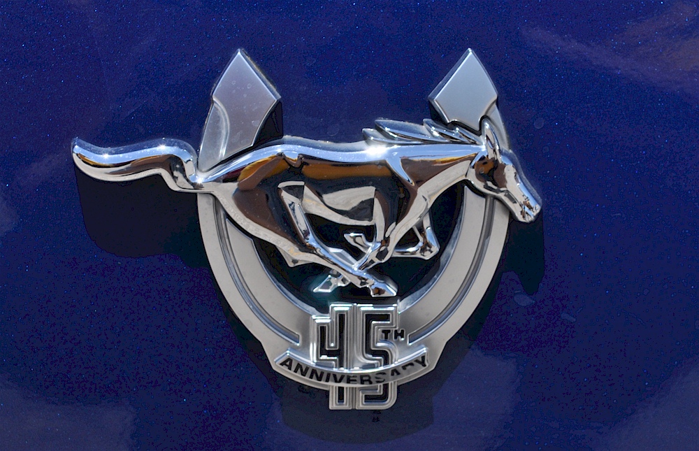 2009 Mustang Anniversary Emblem