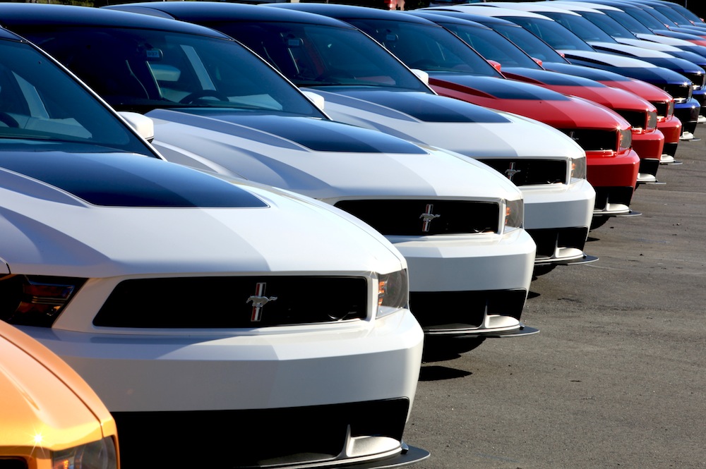 Herd of Boss 302 Mustangs
