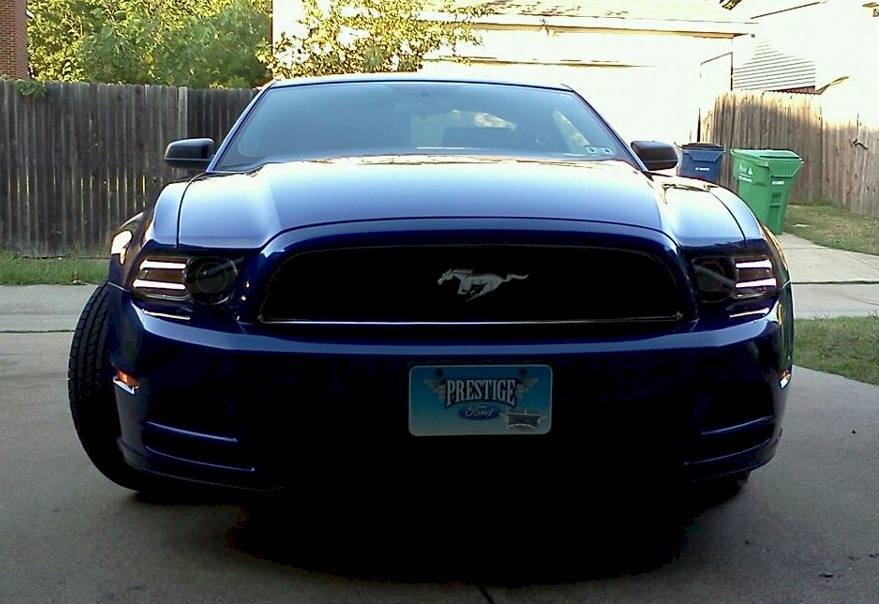 Deep Impact Blue 2013 Mustang