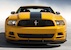 2013 Boss 302 Grille