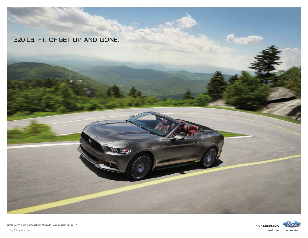Magnetic 2015 Mustang EcoBoost 4-cylinder