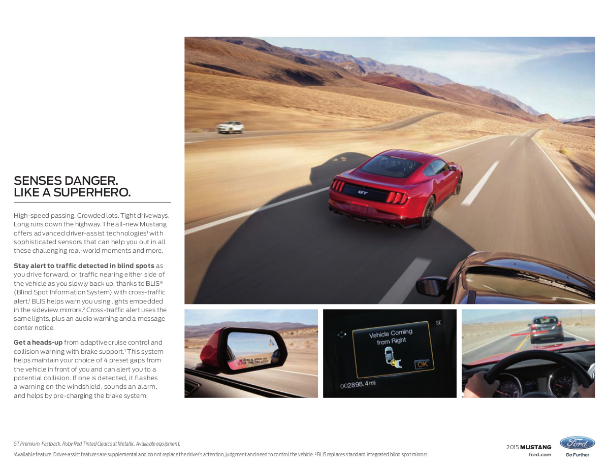 BLIS Blind Spot Information System