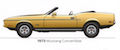 1973 Mustang convertible