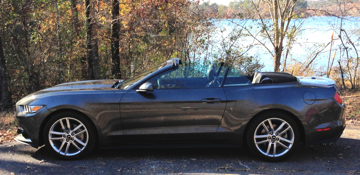 Magnetic 2017 Mustang
