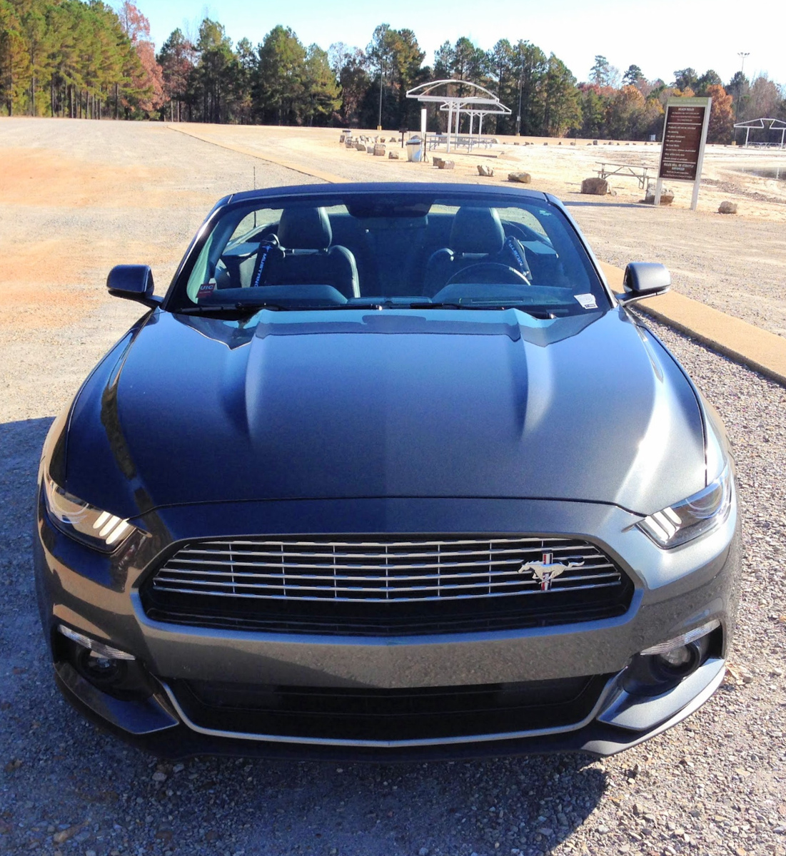 Magnetic 2017 Mustang