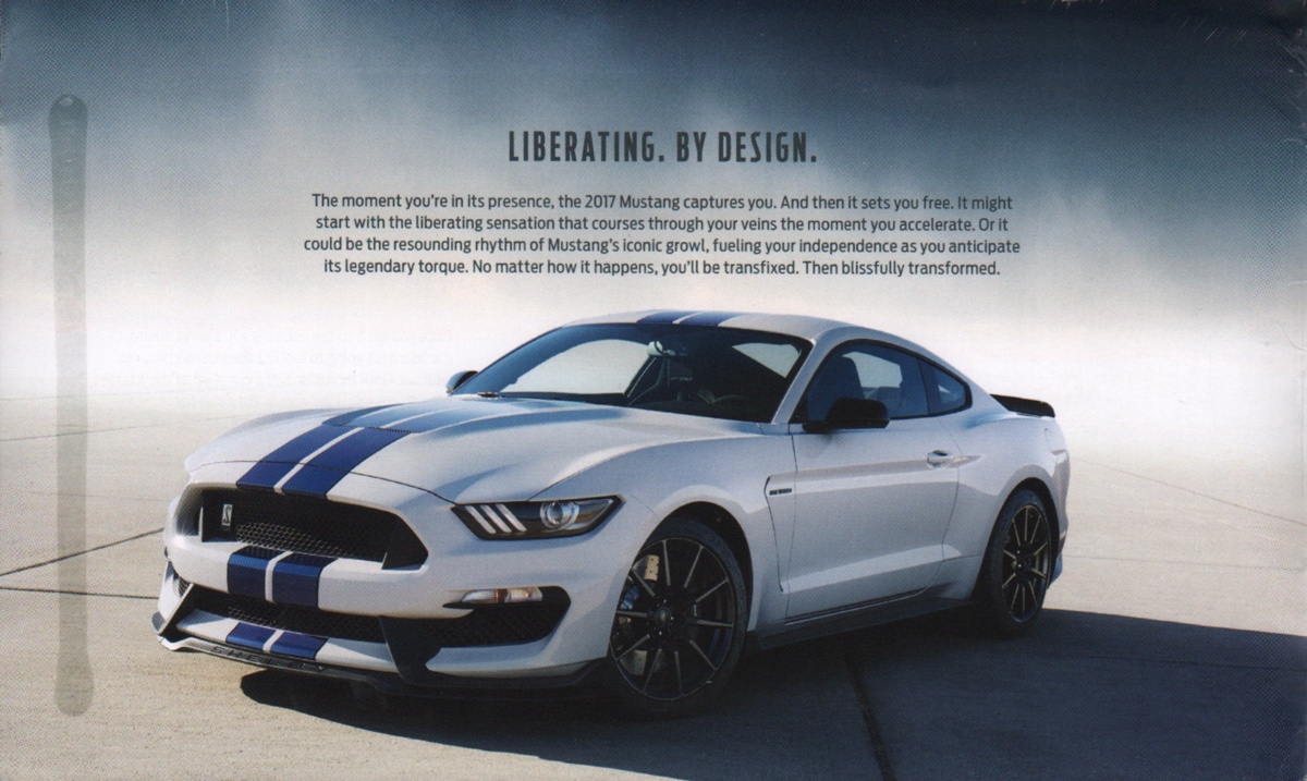 2017 Oxford White with blue stripes GT350