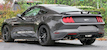 Magnetic 2019 Mustang GT fastback