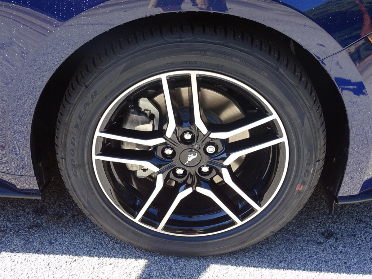2019 Kona Blue Mustang