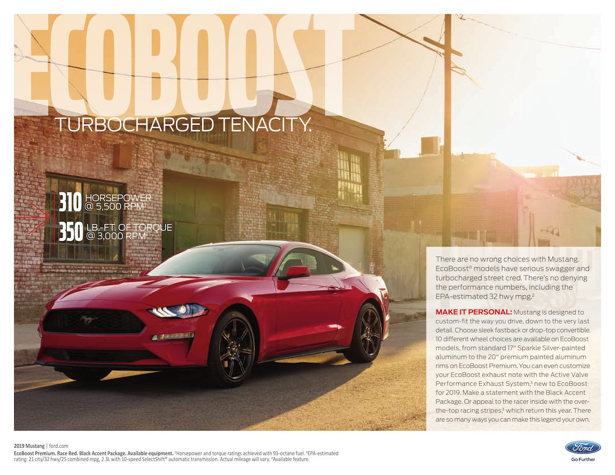 2019 EcoBoost