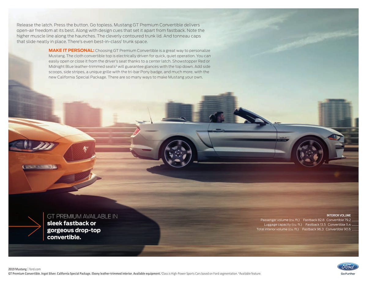 2019 Mustang GT