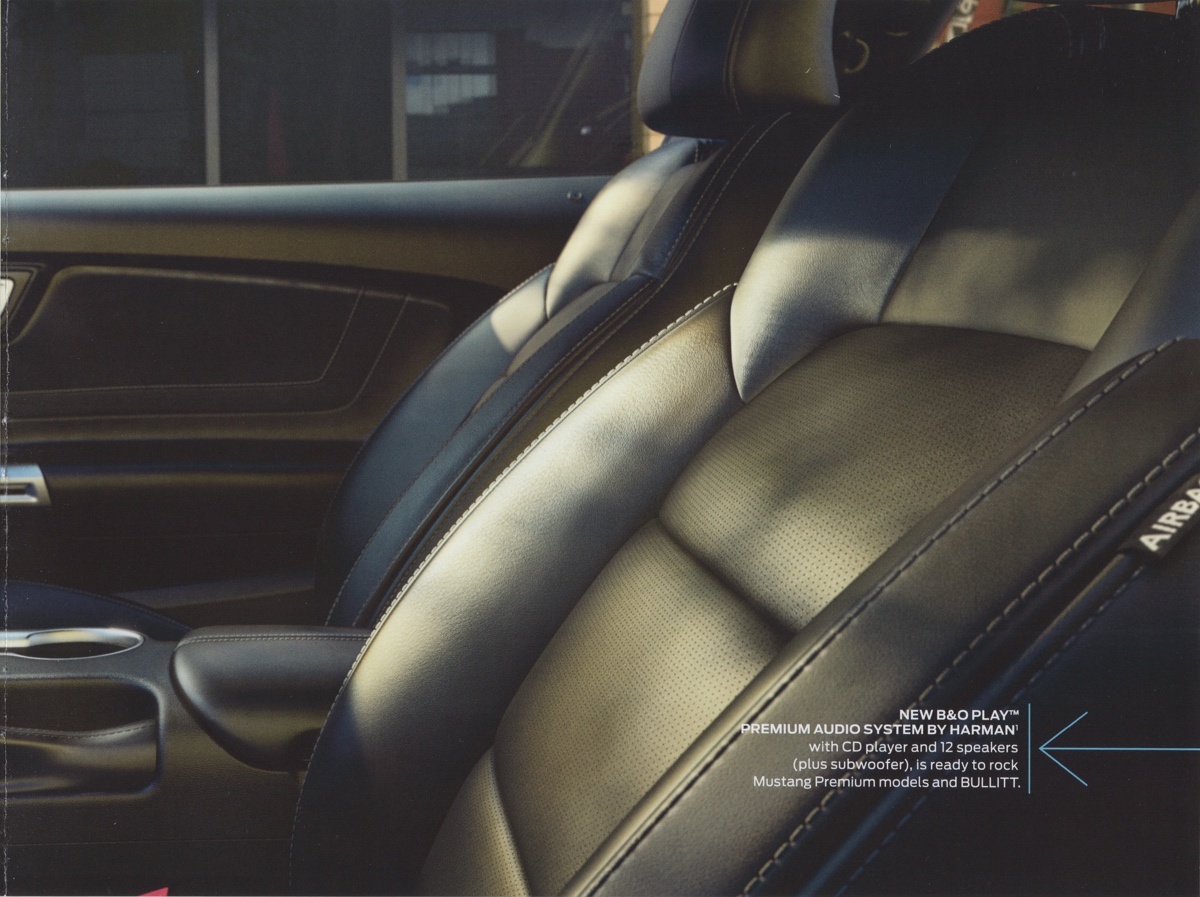 leather seat option