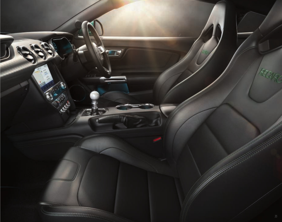 Recaro sports seat trim