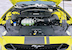 2021 Mustang GT F-code 460hp 5.0L V8