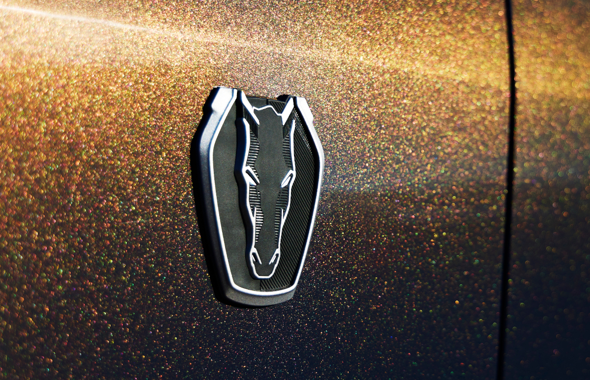 2024 dark horse emblem